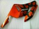 2004-2005 Orange Schwarz CBR1000RR Motorrad Verkleidungen